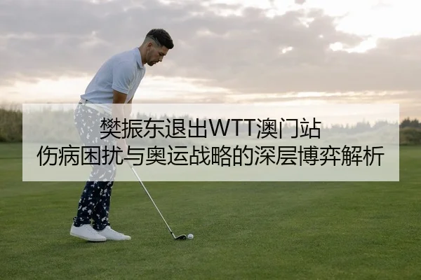 樊振东退出WTT澳门站 伤病困扰与奥运战略的深层博弈解析